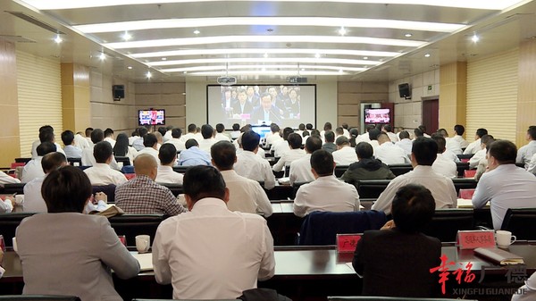 长三角视频会议.jpg