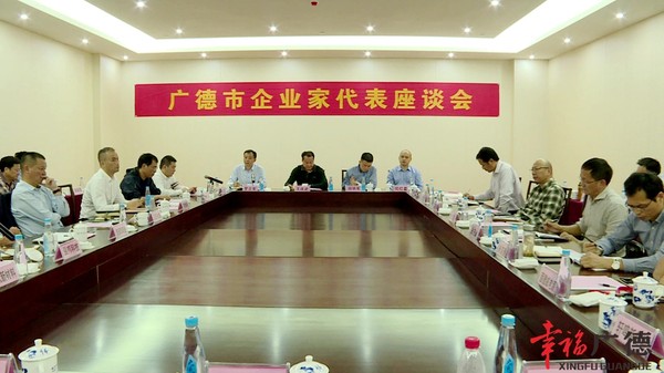企业家代表座谈会.jpg