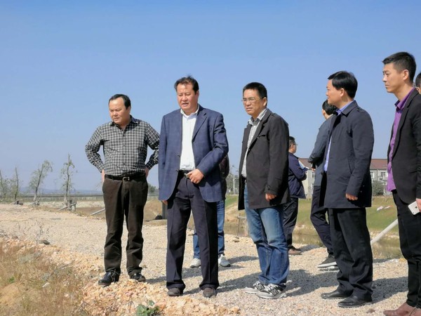 县委书记来村查看土地复垦 (1).jpg