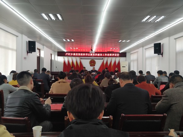 卢村乡基层党组织书记抓党的建设述职评议会.jpg