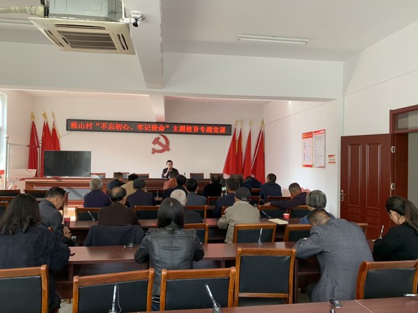 桃山村“不忘初心、牢记使命”主题教育专题党课.png